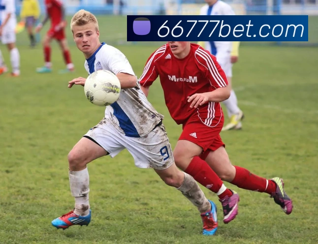 bet365com发展历程